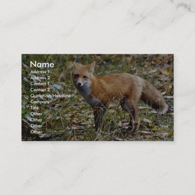 Red Fox Business Card (Front)