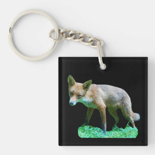 Red Fox Cub Coaster Key Ring