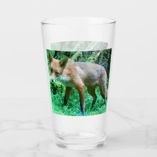 Red Fox Cub Glass