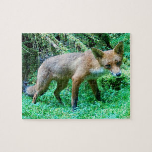Red Fox Cub  Jigsaw Puzzle
