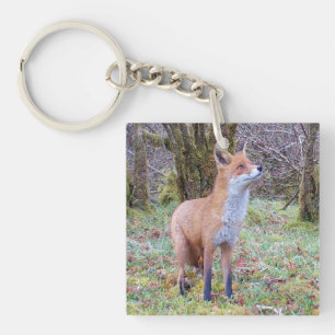 Red Fox Cub Key Ring