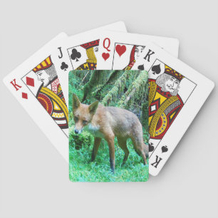 Red Fox Cub Playing Cards