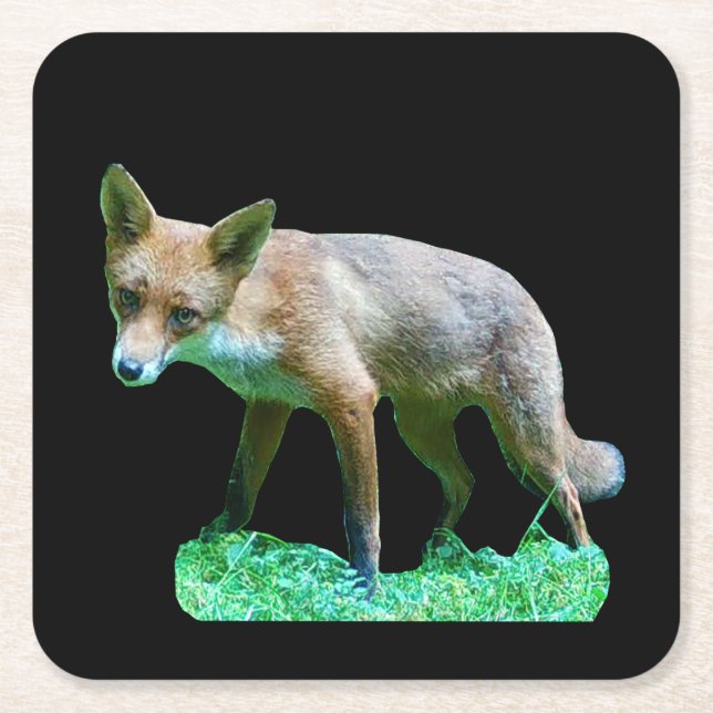 Red Fox Cub Woodland Wildlife Forest Scene Cute  Square Paper Coaster (Front)