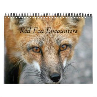 Red Fox Encounters Calendar