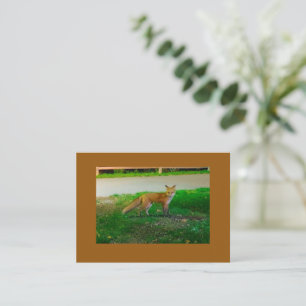 Red Fox Flat Note Card