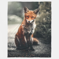 RED FOX