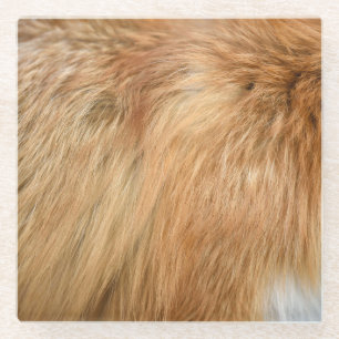 Red Fox Fur Pattern Tile Glass Coaster