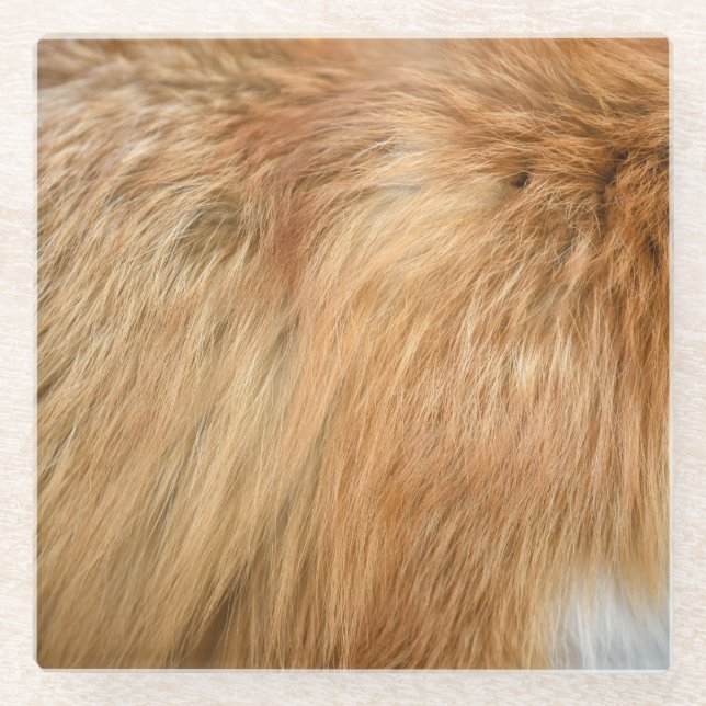 Red Fox Fur Pattern Tile Glass Coaster (Front)