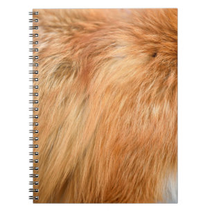 Red fox fur texture notebook