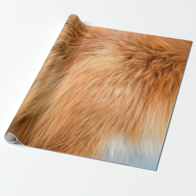Red fox fur texture wrapping paper (Unrolled)