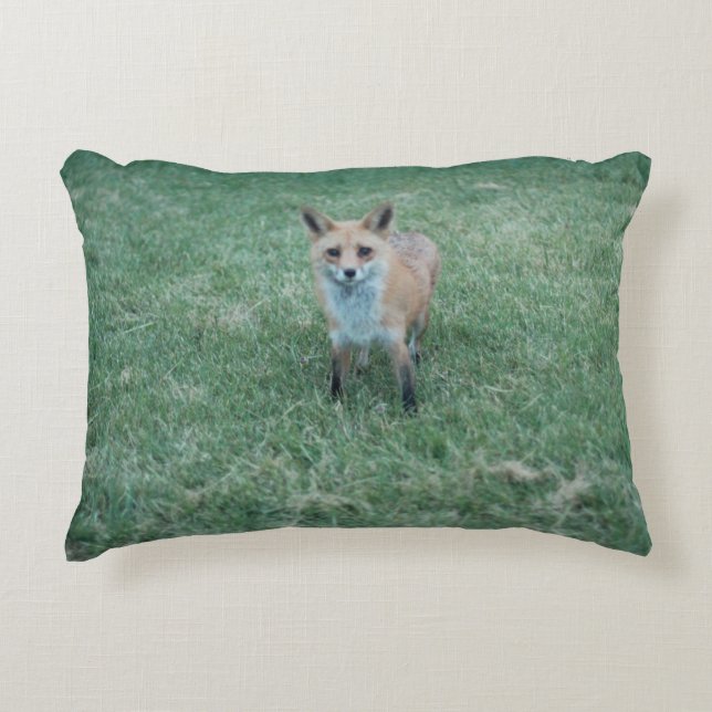 Red fox in California San Jose Decorative Cushion (Front)