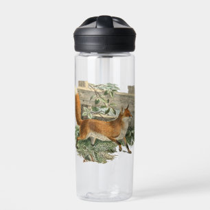 Red Fox in Rustic Country Cottage Illustration Water Bottle
