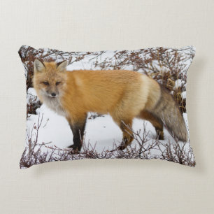 Red Fox in snow in winter Decorative Cushion
