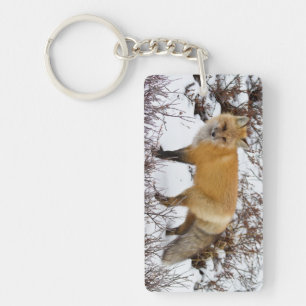 Red Fox in snow in winter Key Ring