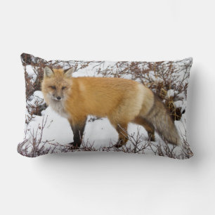 Red Fox in snow in winter Lumbar Cushion