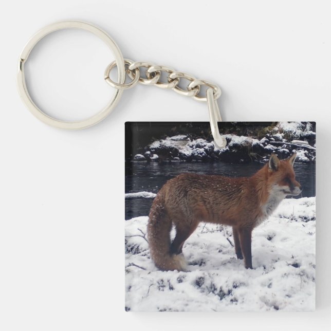 Red Fox in Snow  Key Ring (Front)