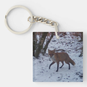 Red Fox in Snow  Key Ring
