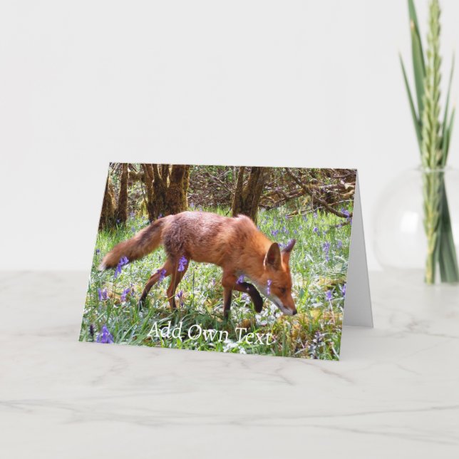 Red Fox in the Bluebells Card (Front)