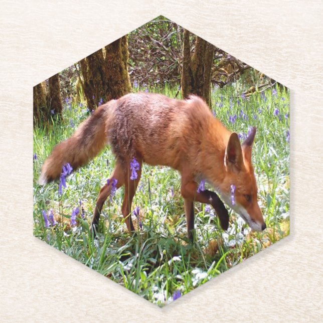 Red Fox in the Bluebells Paper Coaster (Front)