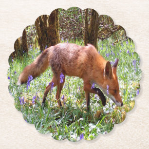 Red Fox in the Bluebells Paper Coaster