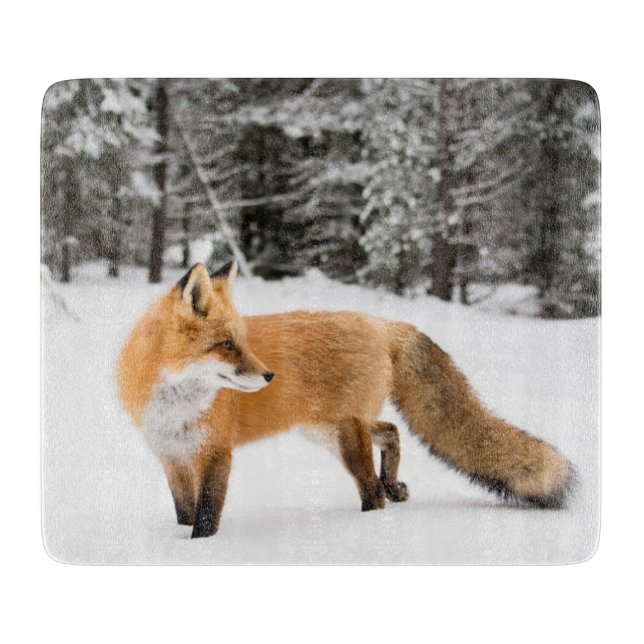 Red Fox in White Snow Cutting Board (Front)
