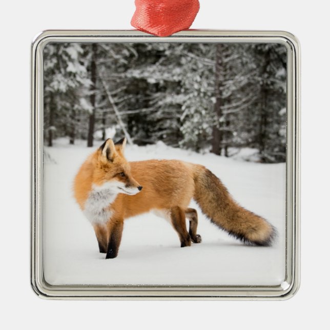 Red Fox in White Snow Metal Tree Decoration (Front)