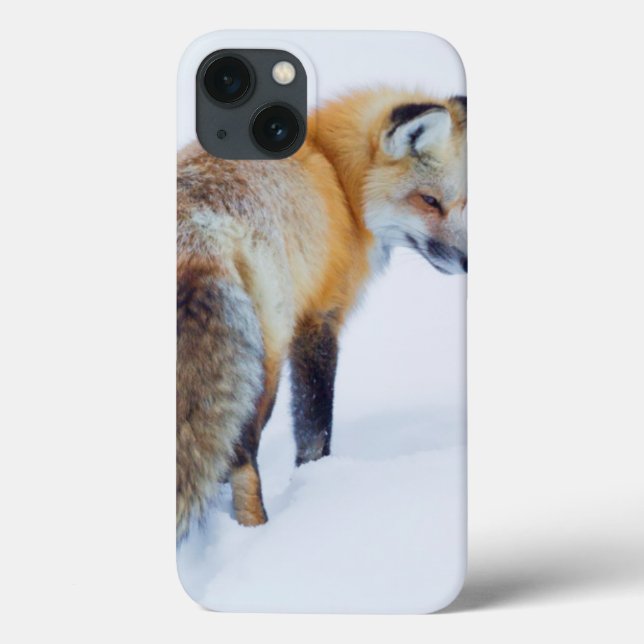 Red Fox in Winter Case-Mate iPhone Case (Back)