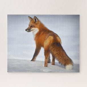 Red Fox in Winter Snow Jigsaw Puzzle