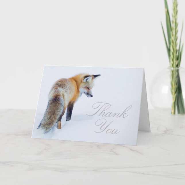 Red Fox in Winter Thank You Card (Front)