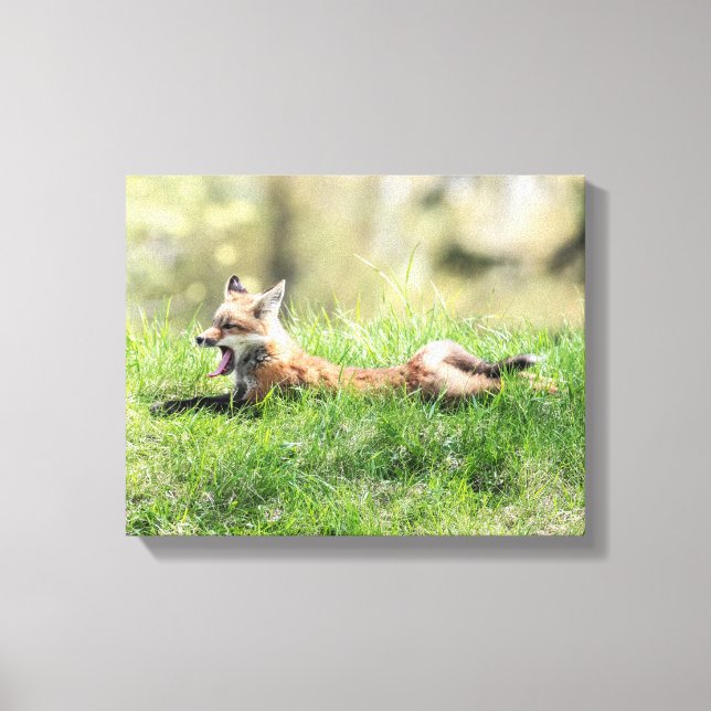 Red Fox Kit Canvas Print (Front)