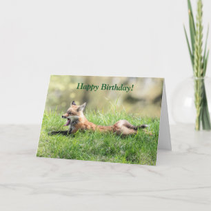 Red Fox Kit Card