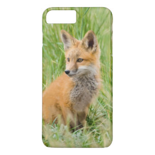 Red Fox Kit in grass near den Case-Mate iPhone Case