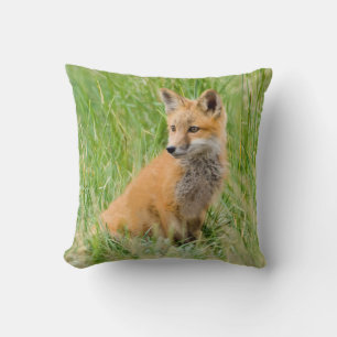 Red Fox Kit in grass near den Cushion