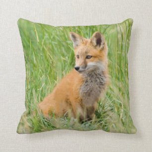 Red Fox Kit in grass near den Cushion