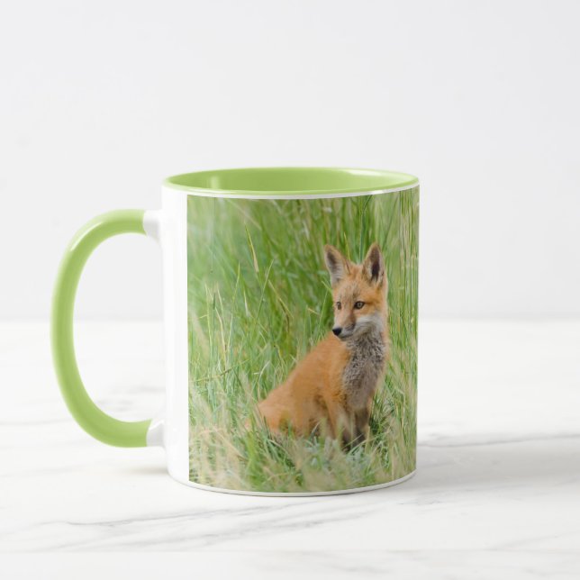 Red Fox Kit in grass near den Mug (Left)