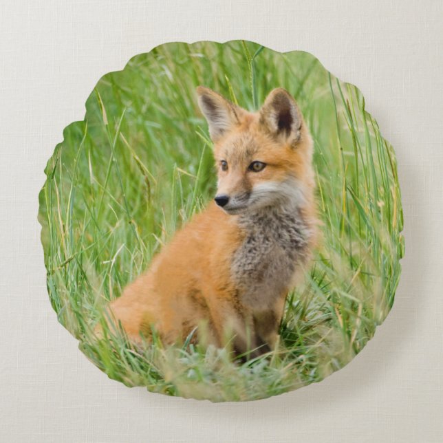 Red Fox Kit in grass near den Round Cushion (Front)
