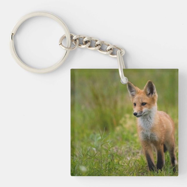 Red Fox Kit In Grassy Meadow Key Ring (Front)