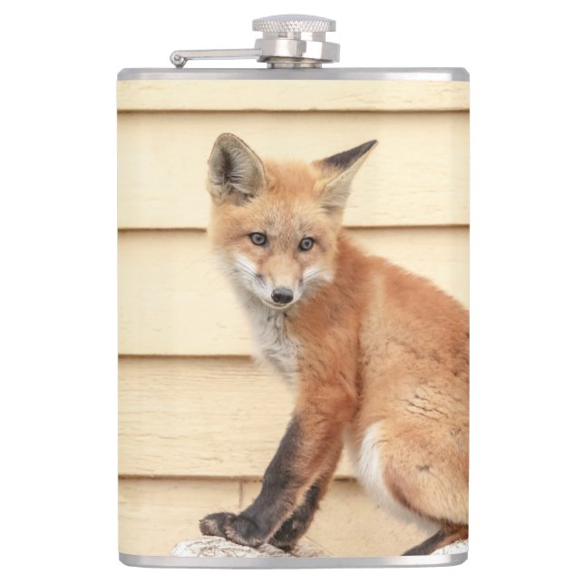 Red Fox Kit in The Hudson Valley Hip Flask (Front)