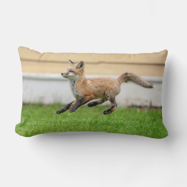Red Fox Kit in The Hudson Valley Lumbar Cushion (Front)