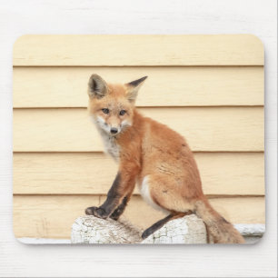 Red Fox Kit in The Hudson Valley Mouse Pad