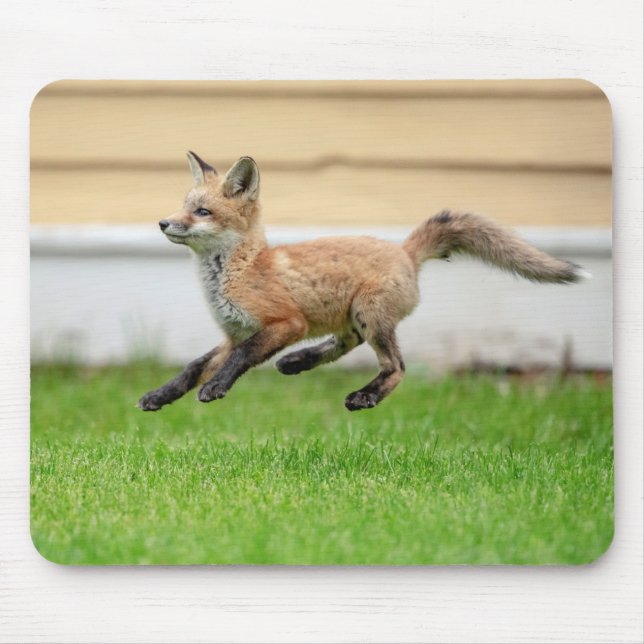 Red Fox Kit in The Hudson Valley Mouse Pad (Front)
