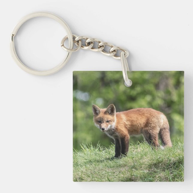 Red Fox Kit Key Ring (Front)