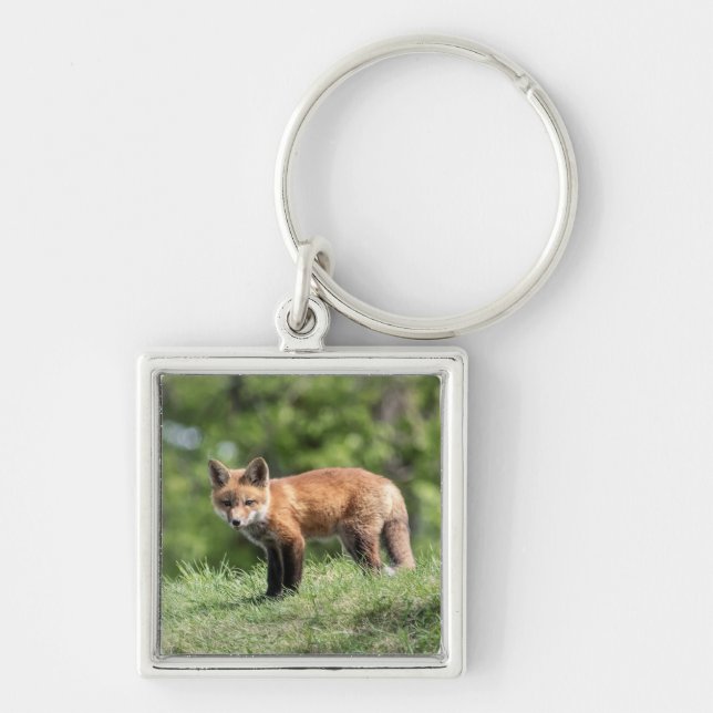 Red Fox Kit Key Ring (Front)