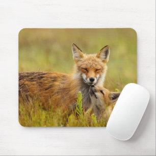 Red Fox Kit Looking Up to Momma Mouse Pad