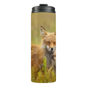 Red Fox Kit Looking Up to Momma   Thermal Tumbler