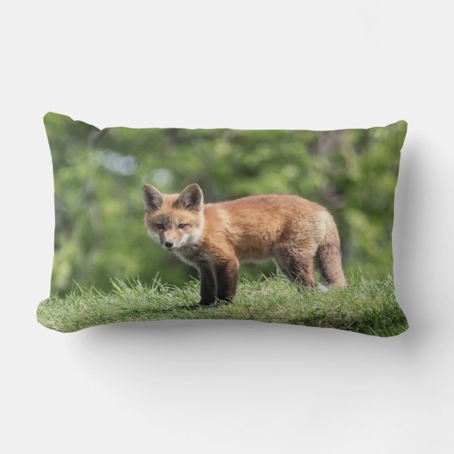 Red Fox Kit Lumbar Cushion (Front)