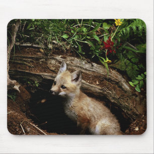 Red Fox Kit Mouse Pad