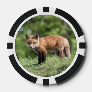 Red Fox Kit Poker Chips