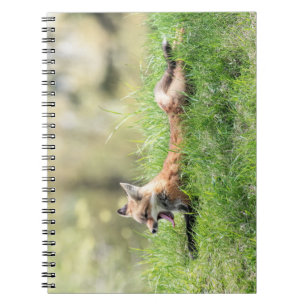 Red Fox Kit Spiral Notebook