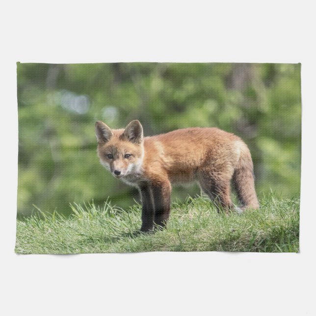 Red Fox Kit Tea Towel (Horizontal)